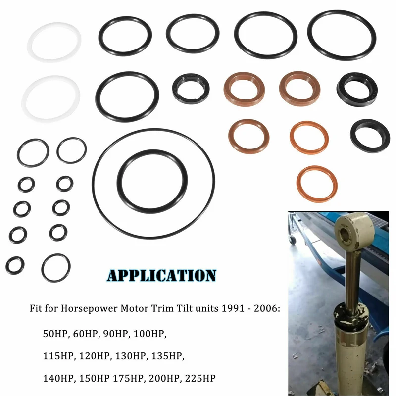 Рисунок 2 - Комплект для ремонта NONY Trim & Tilt