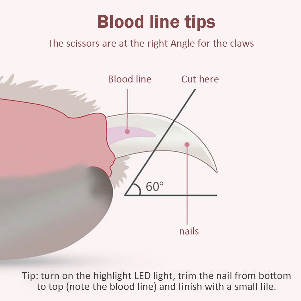 Профессиональные ПЭТ спиральный резак для хот догов в виде кошек и собак