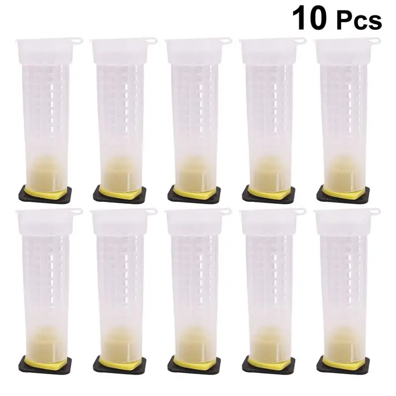 10 шт. Пластиковые Клетки для вывода зерен|Инструменты пчеловодства| |