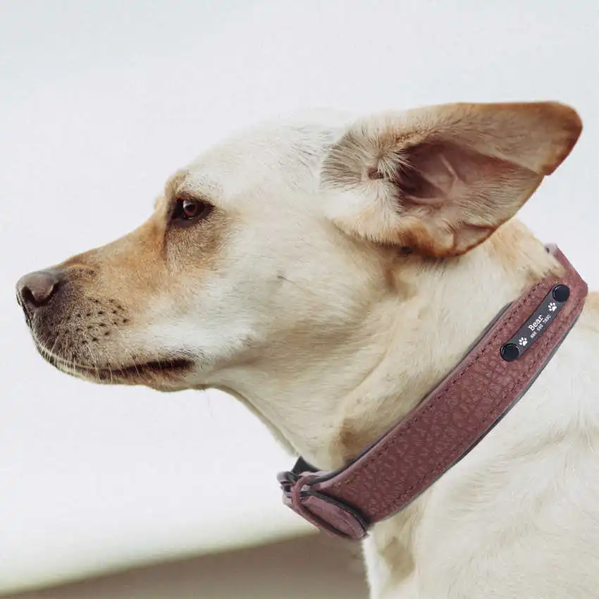 

Personalized Dog Collars adjustable Soft Leather Custom Dog Collar Engrave Name ID Tags for Cat puppy large Dogs Pet Accessories