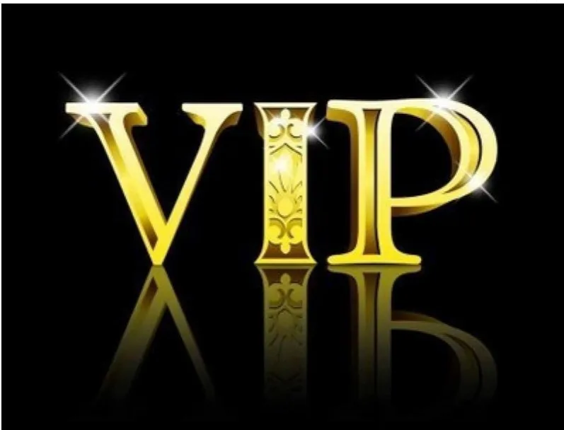 

VIP 2