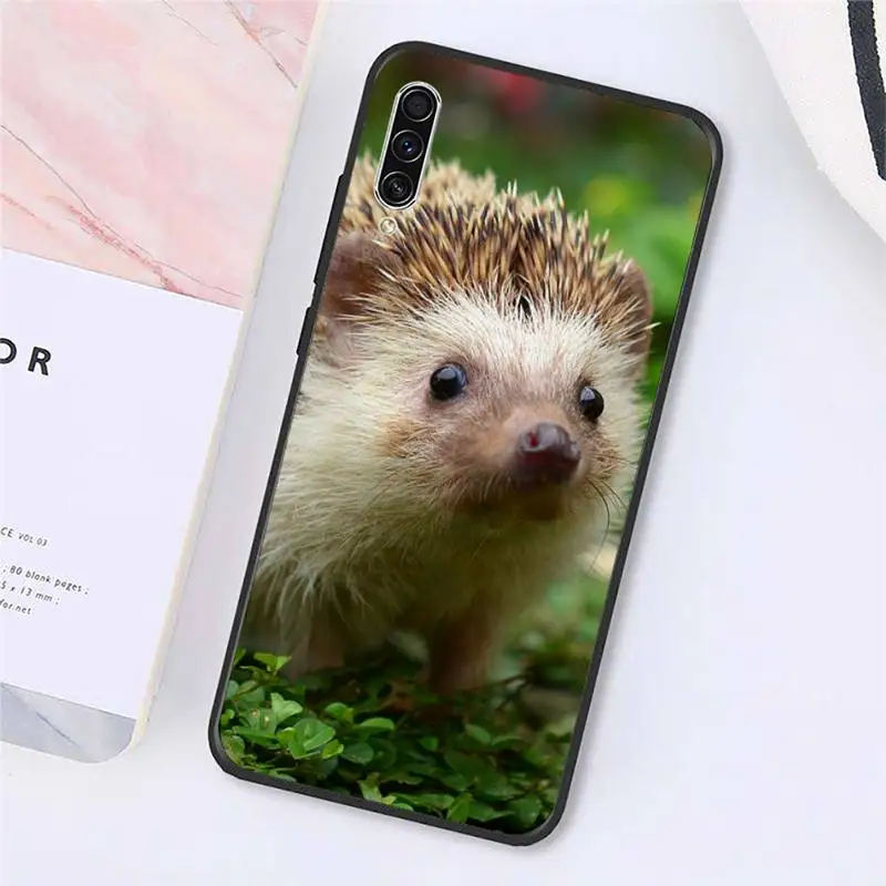 

Hedgehog cute animal Phone Case For Samsung galaxy S 9 10 20 A 10 21 30 31 40 50 51 71 s note 20 j 4 2018 plus Luxury brand