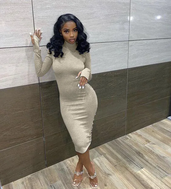 

Oluolin Winter New Casual High Neck Long Sleeve Sweatshirt Pencil Dress Woman Sexy Back Hollow Pleated Bag Hip Solid Midi Dress