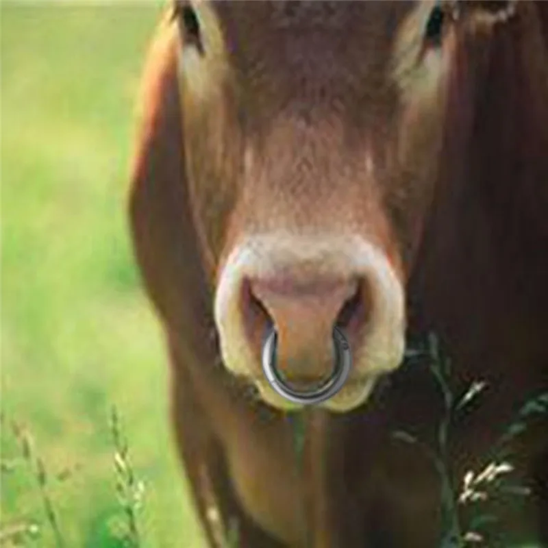 Скот бычий нос скот кольцо Cattles телячий нос Тяговый зажим сельскохозяйственное оборудование фермы животных поставки S/L C42