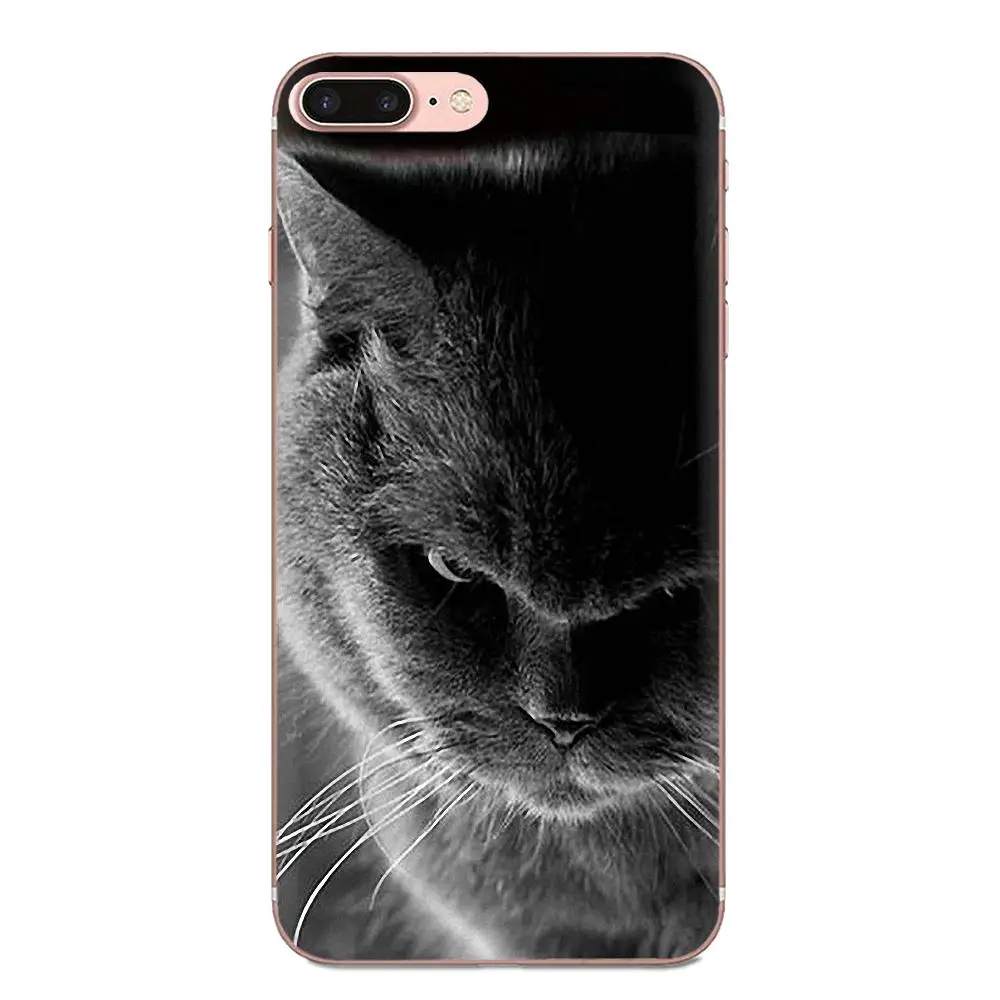 For Huawei Honor 4C 5A 5C 5X 6 6A 6X 7 7A 7C 7X 8 8C 8S 9 10 10i 20 20i Lite Pro Unique Cat Black Cute | Мобильные телефоны и