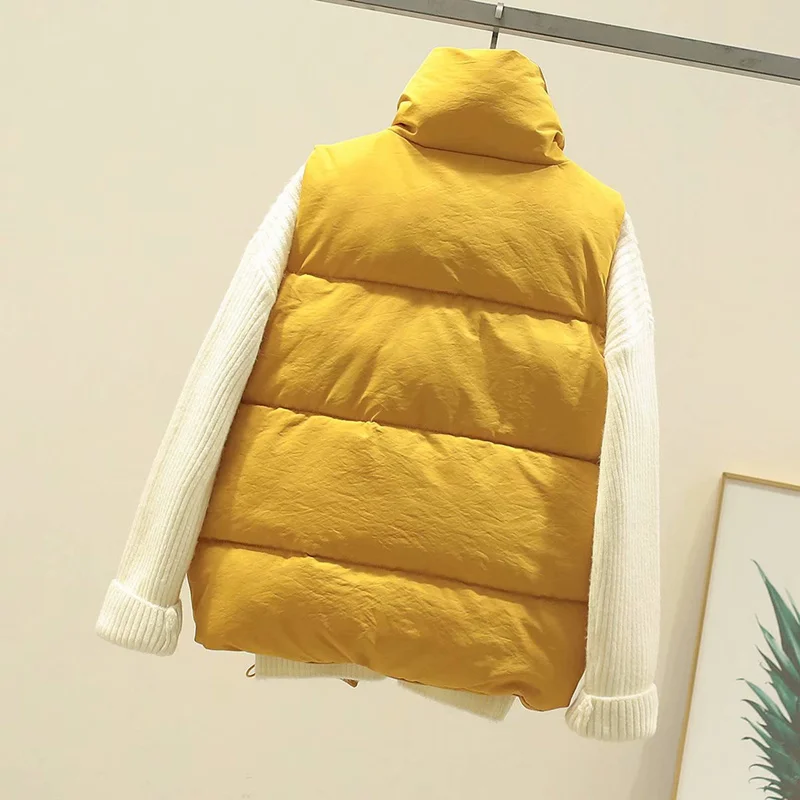 Повседневная Женская одежда в Корейском стиле на осень и зиму теплый жилет с