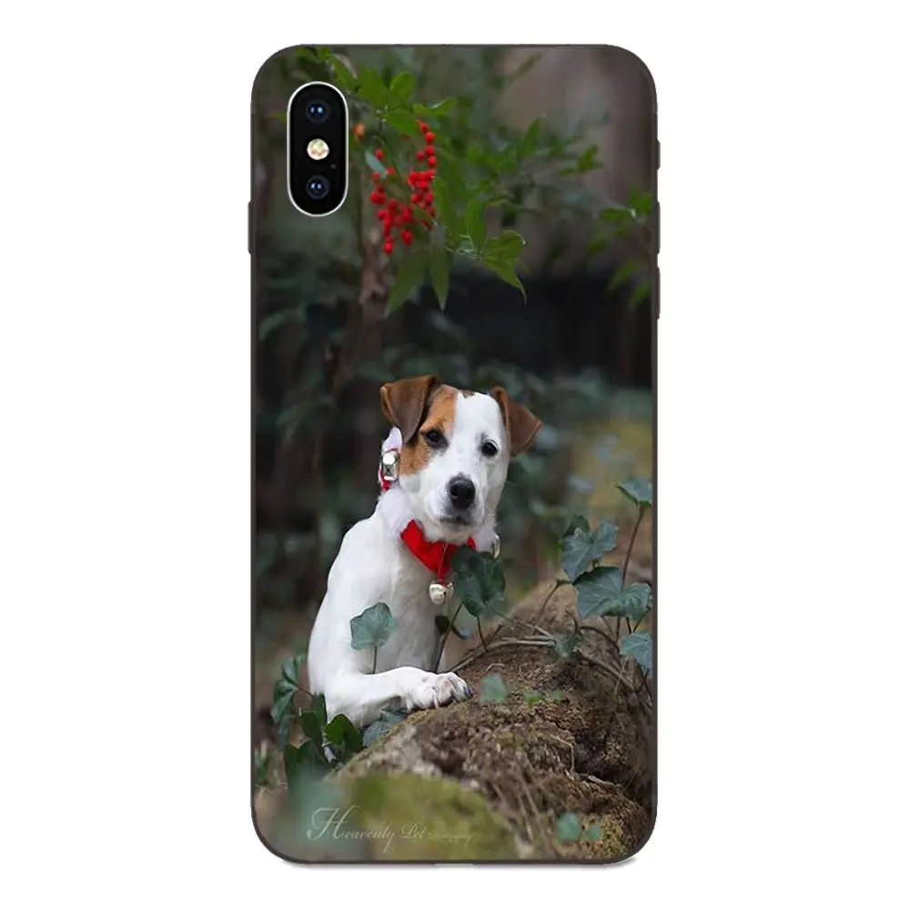 Солнцезащитные очки для Xiaomi mi x Max Note 2 2S 3 5X6 6X8 9 SE A1 A2 Lite Play Pro F1 Special Jack Russel Terrier |