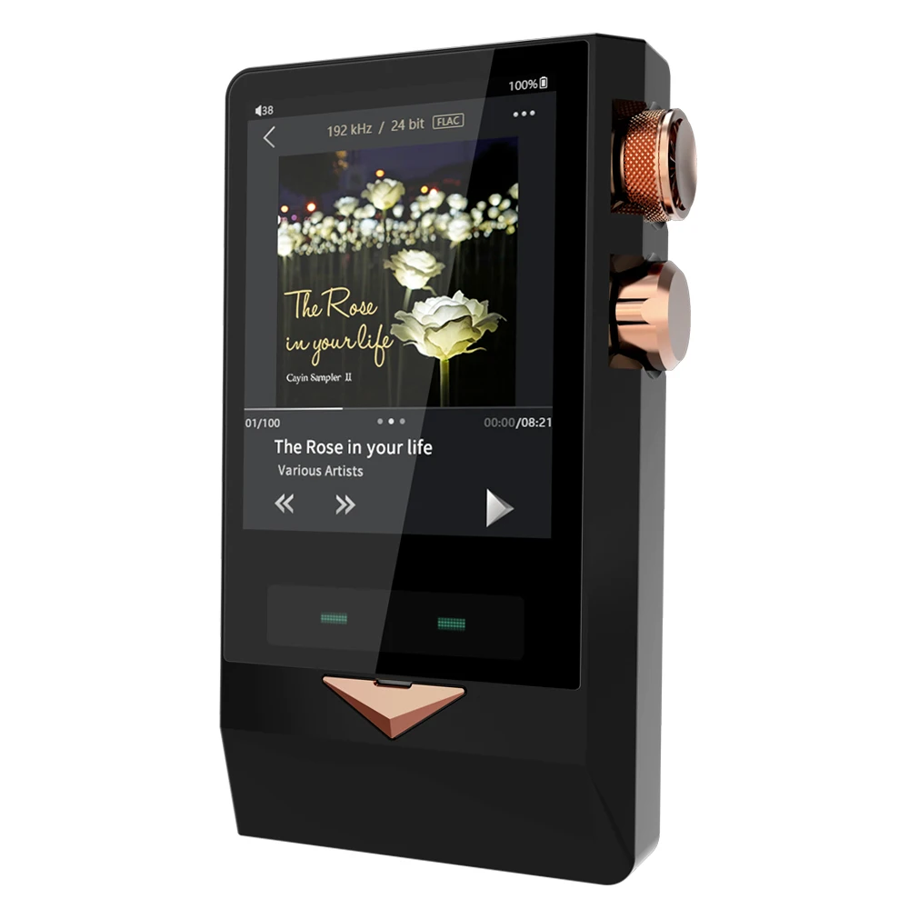 CayinN8 латунь черный с вакуумными трубками Портативный плеер DSD256 PCM32Bit/384 кГц SACD-ISO