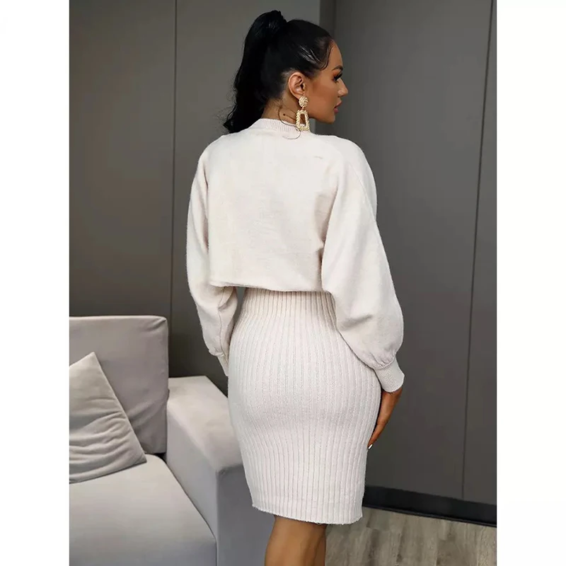 2021 Chic New Suit Women Autumn Promotion Fashion 2 Piece Set Long-Sleeved Top + Dresses With Free Shipping |