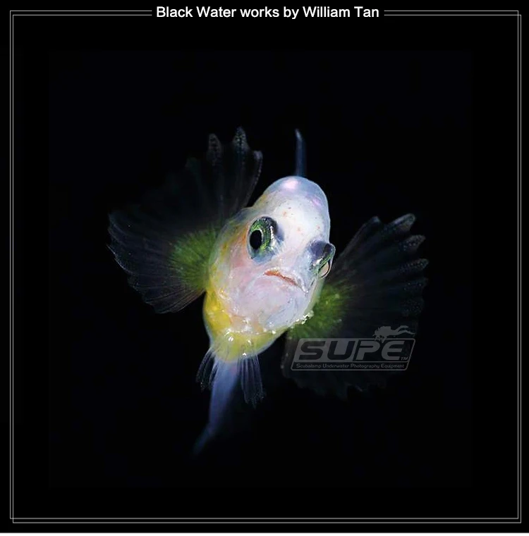 SUPE V6K 12000lum Studio COB светодиодный светильник для дайвинга светильник для подводной фотографии светильник для подводного погружения Фото Видео флэш-светильник 6A/usb vedio светильник