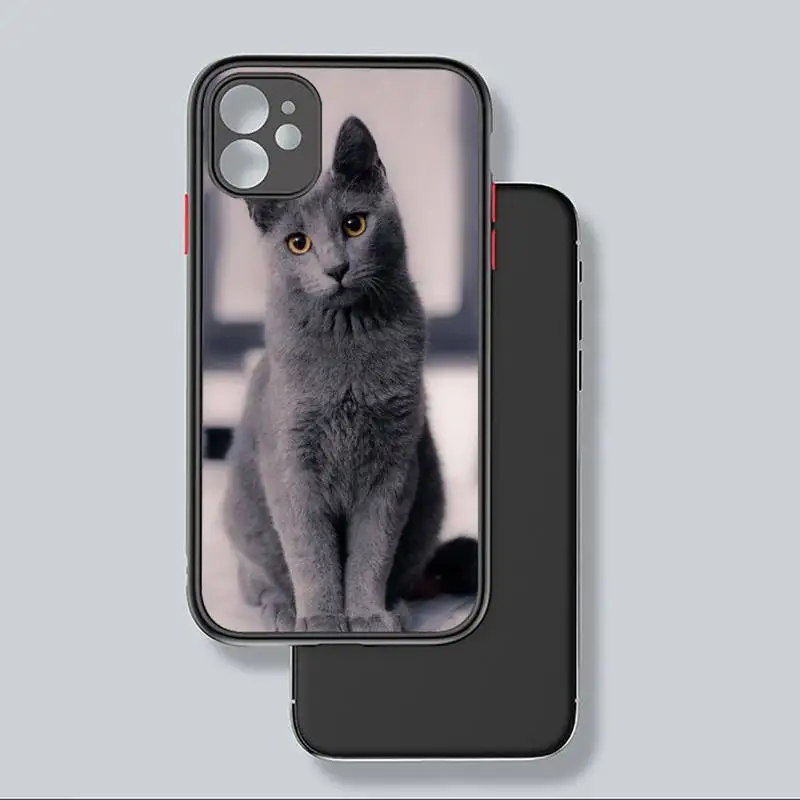 

British shorthair cat Phone Case For iphone 12 11 8 7 plus mini x xs xr pro max matte transparent cover