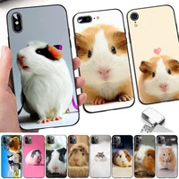 yinuoda guinea pig cute animal phone case for iphone 11 12 13 mini pro xs max 8 7 6 6s plus x 5s se 2020 xr case