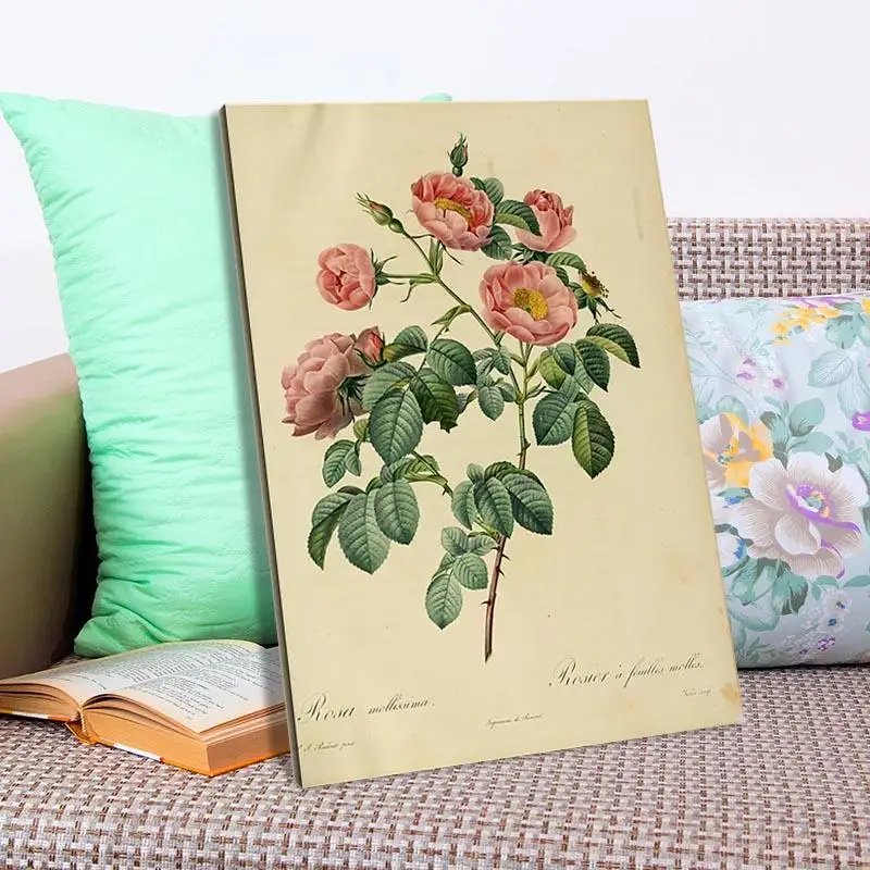 Goede Nieuwe Hd Rosa Inermis Art Schilderen Poster Canvas Schilderij Posters En Prints Wall Art Foto Voor Woonkamer Huisinrichting 1T