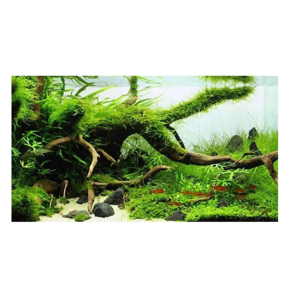 Аксессуары украшения для аквариума натуральное дерево пейзаж 1 предмет и | Дом