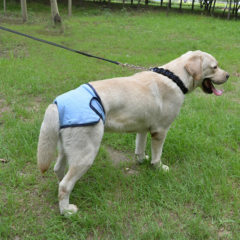 2020 горячая Распродажа портативные шорты для здоровья женщин собак щенков