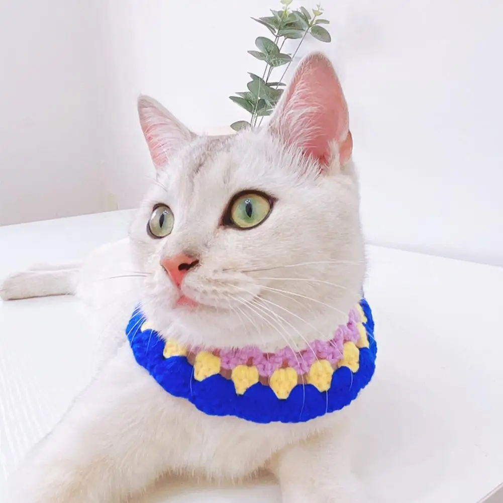 Ошейник для домашних животных, разноцветное шерстяное платье, модный ошейник для кошек и собак, реквизит для вечеринки