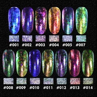 2pcs beauty bigbang nail flakes chameleon glitter powder 0 15g0 15g chrome holographic sequins nail powder nail art decoration