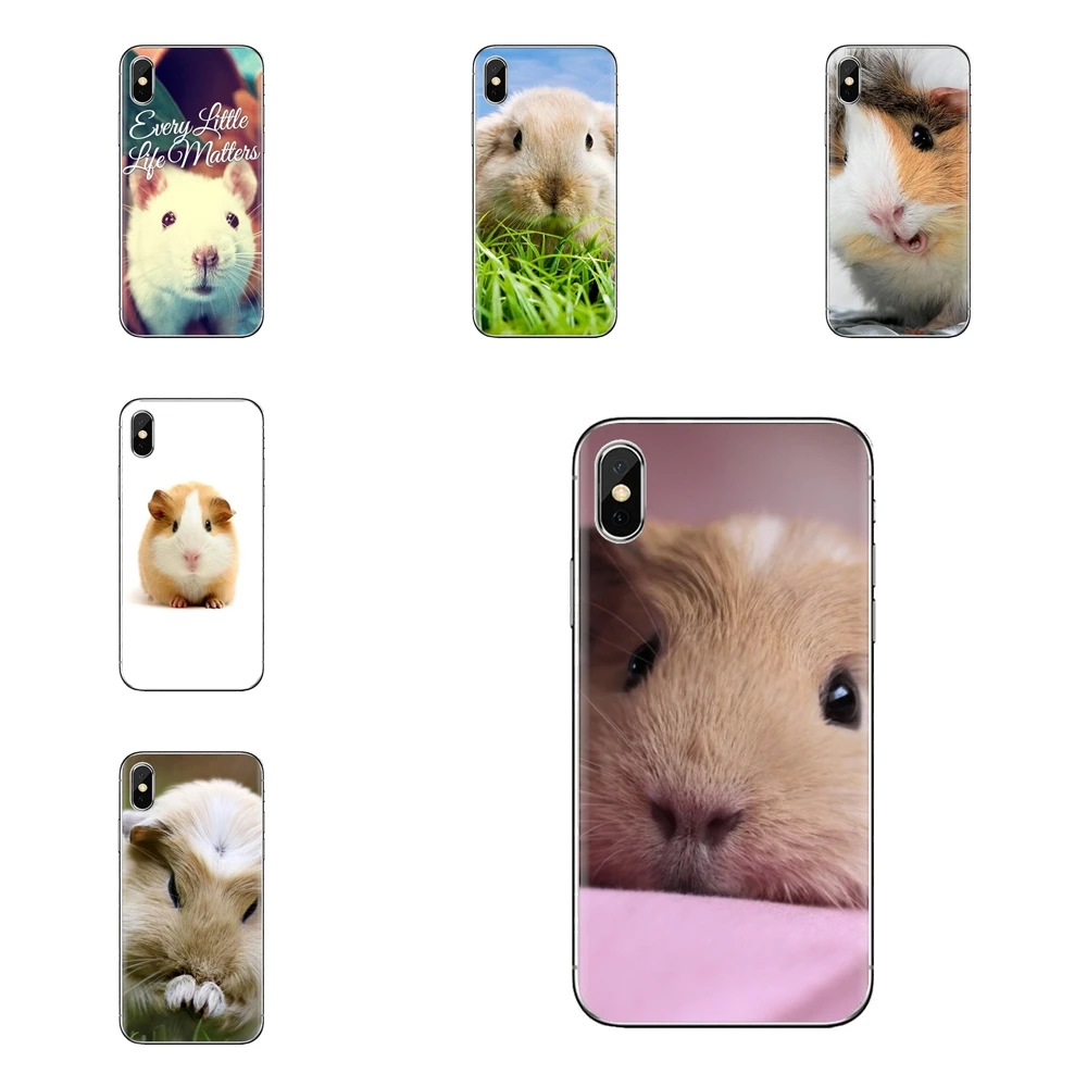 For Samsung Galaxy S2 S3 S4 S5 MINI S6 S7 edge S8 S9 Plus Note 2 3 4 5 8 Coque Fundas Silicone Phone Case cute animal Guinea pig |