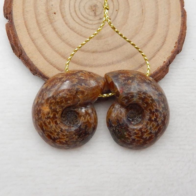 

В продаже, натуральный драгоценный камень Aommonite ископаемые серьги, бижутерия, подарок на день рождения, 28x23x3mm13.3g