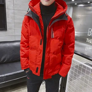 Осень-зима 2020, Новое поступление, большие размеры, Корейская куртка из хлопка с капюшоном, теплая хлопковая куртка, бесплатная доставка