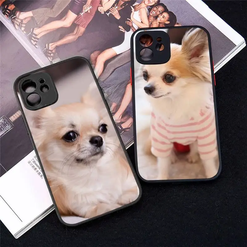 

Chihuahua dog cute animal Phone Case matte transparent For iphone 7 8 11 12 plus mini x xs xr pro max cover