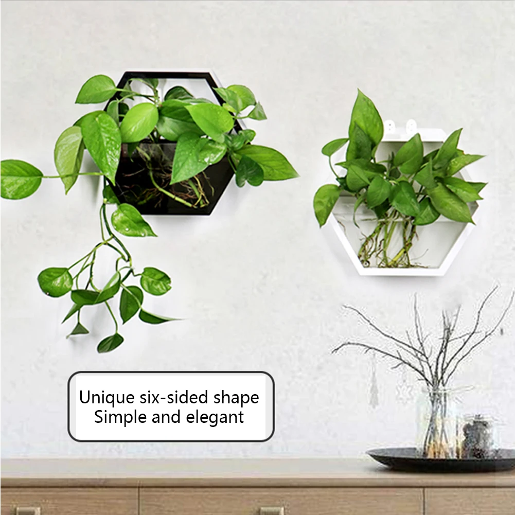 Настенный акриловый цветочный горшок с хлорофитумом для отелей Современное