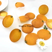 5pcs dried pressed 2 3cm kumquat skin slices fruit plant herbarium for jewelry photo frame phone case bookmark postcard diy