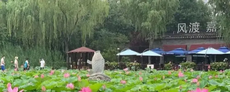 

test 1111