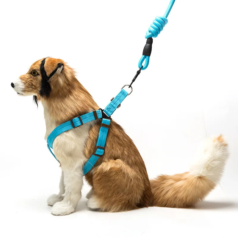 Лидер продаж роскошный модный поводок ошейник для домашних животных ремень