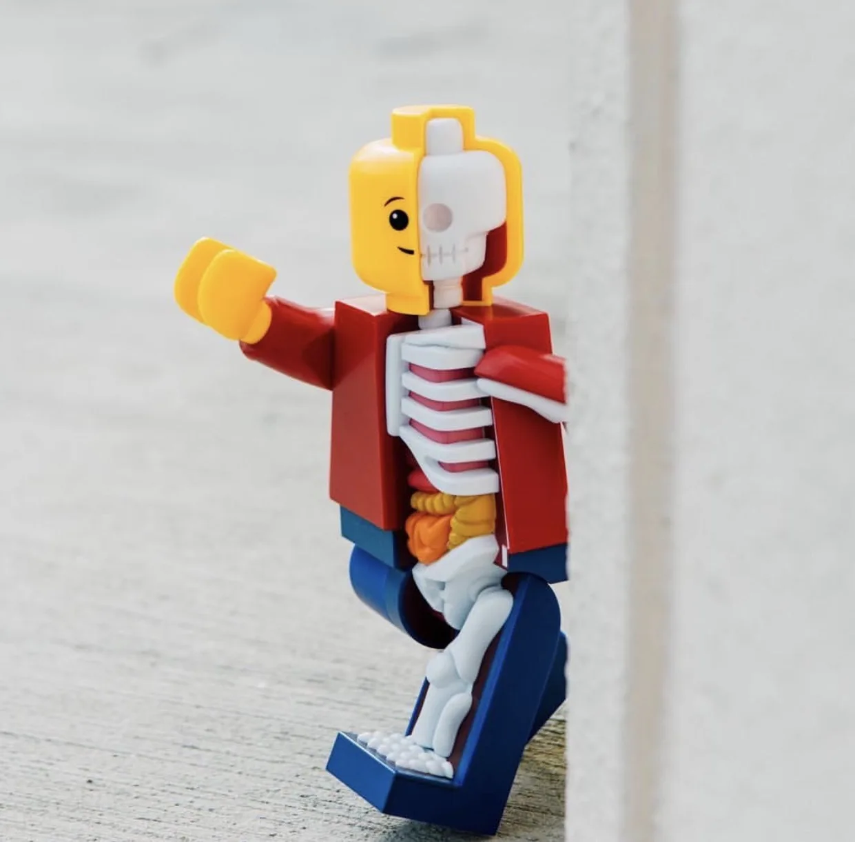 Большой микроанатомический XXRAY JASON FREENY Brick Man 11 дюймов с подвижными суставами |