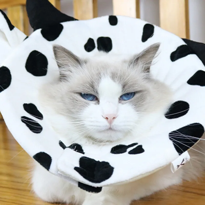 Ошейник для домашних животных кошек и коров защитный чехол товары | Дом сад