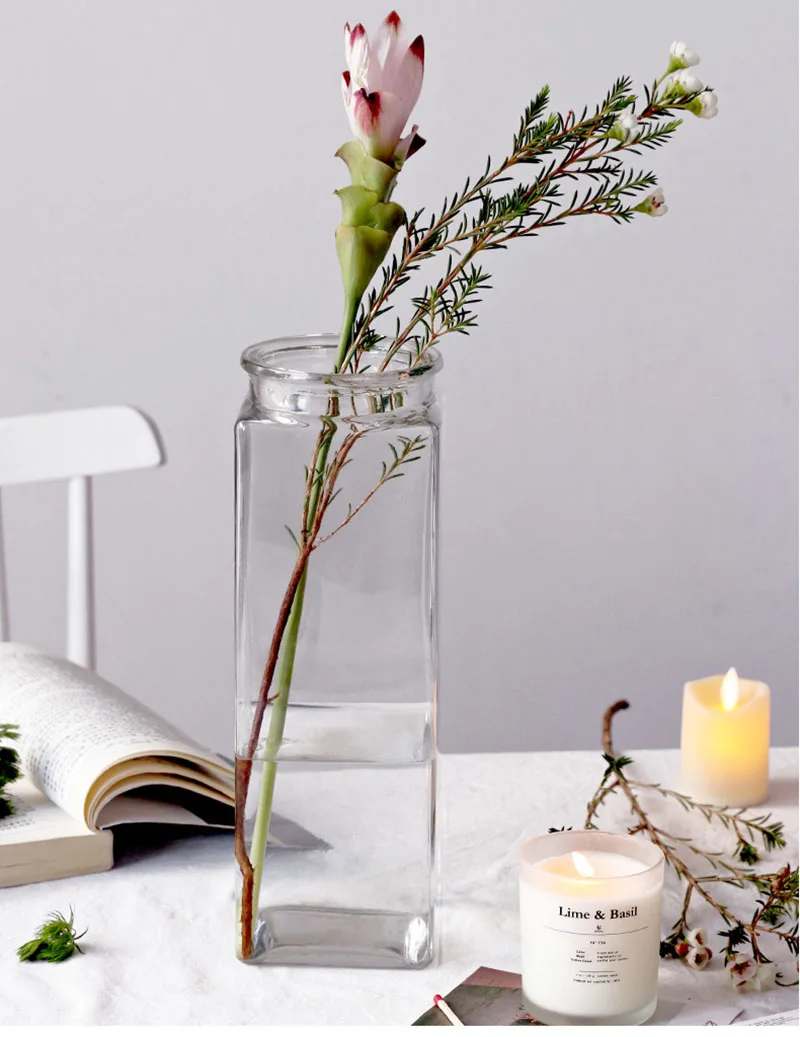 Простая прозрачная стеклянная ваза в скандинавском стиле для гидропонных