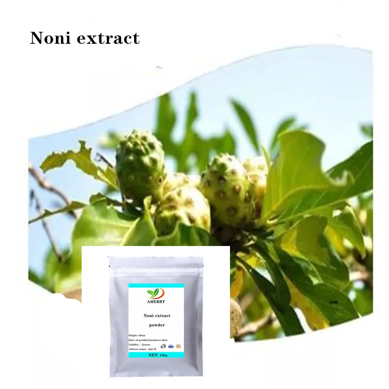 

Organic Fruit Powder Noni Extract Powder 50:1 Free Shipping