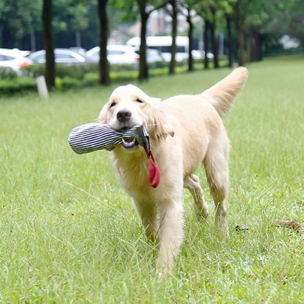 Перерабатываемая игрушка для жевания собак пластиковая бутылка устойчивая к