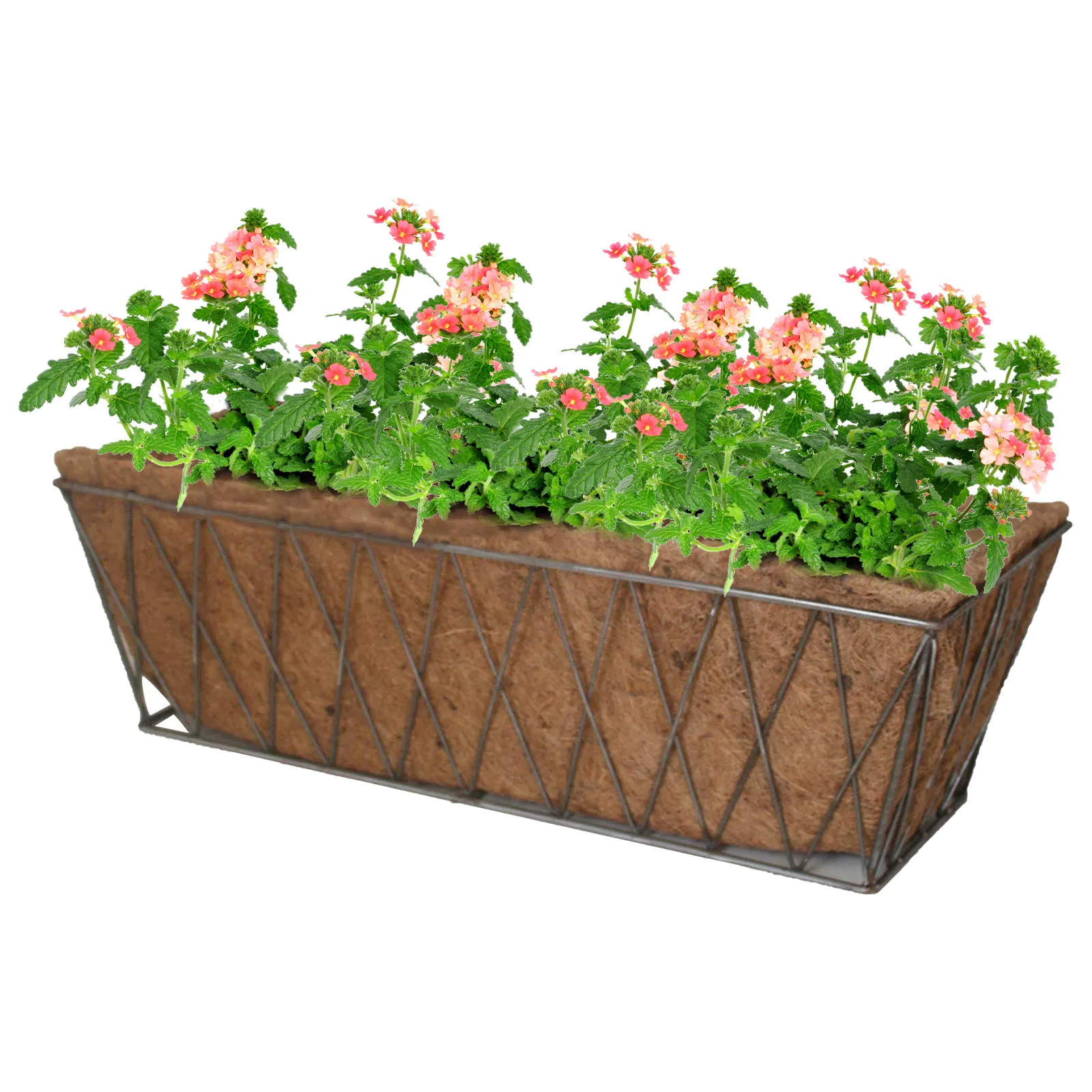 Горшок для растений натуральное кокосовое волокно корыта ящик - Цена: 259,42 - 528,73 руб.