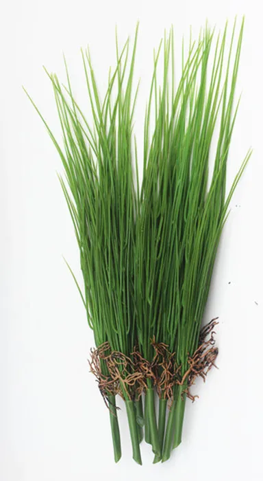 

fake plants