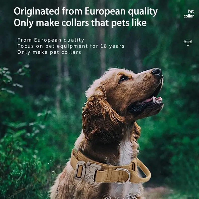 

Solid Dog Collars Nylon Dog Collar For Small Medium Large Dogs Teddy Keji Pitbull Bulldog Beagle