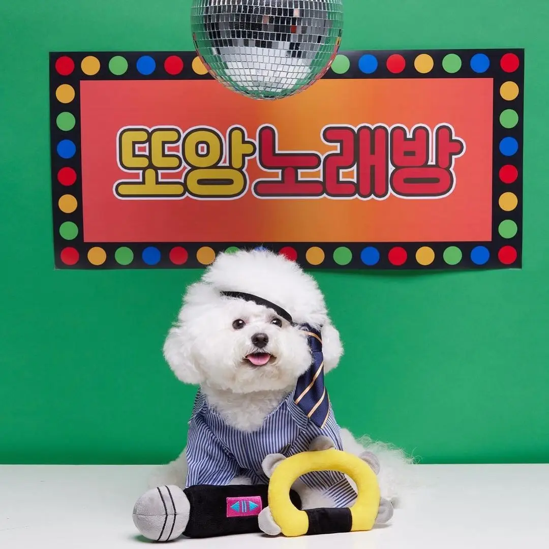 Ins модная игрушка для собак Ktv с микрофоном погремушка тренировок комната песен