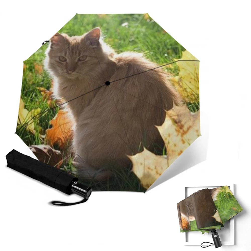 Детский складной зонт для женщин и кошек автоматический от дождя солнца с