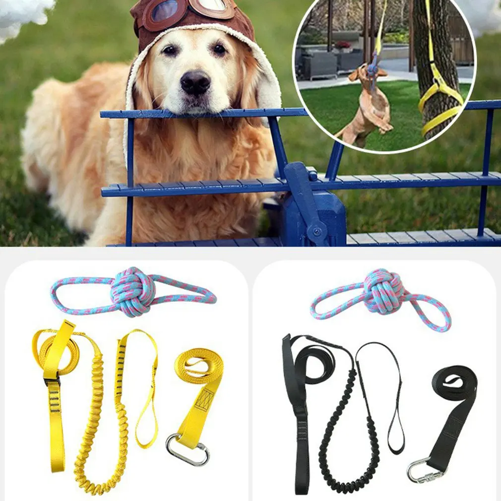 

Dog Training Rope Elastic Rope Outdoor Suspension Super Durable And Safe Easy To Hang For Outdoor Sports