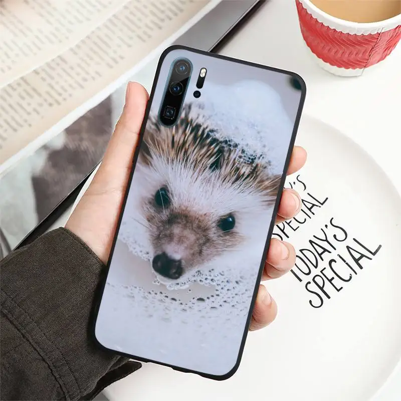 

animal Hedgehog Phone Case For Huawei honor Mate P 9 10 20 30 40 Pro 10i 7 8 a x Lite nova 5t