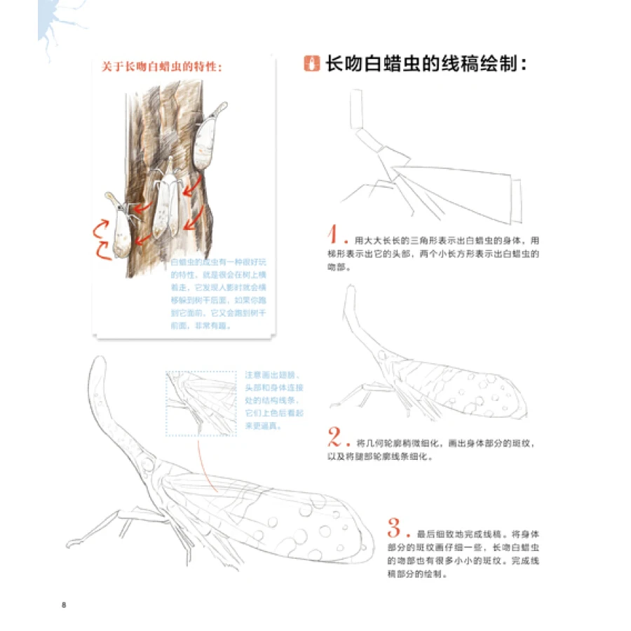 Книга с изображением насекомых: искусство 30 замечательных насекомых | Канцтовары