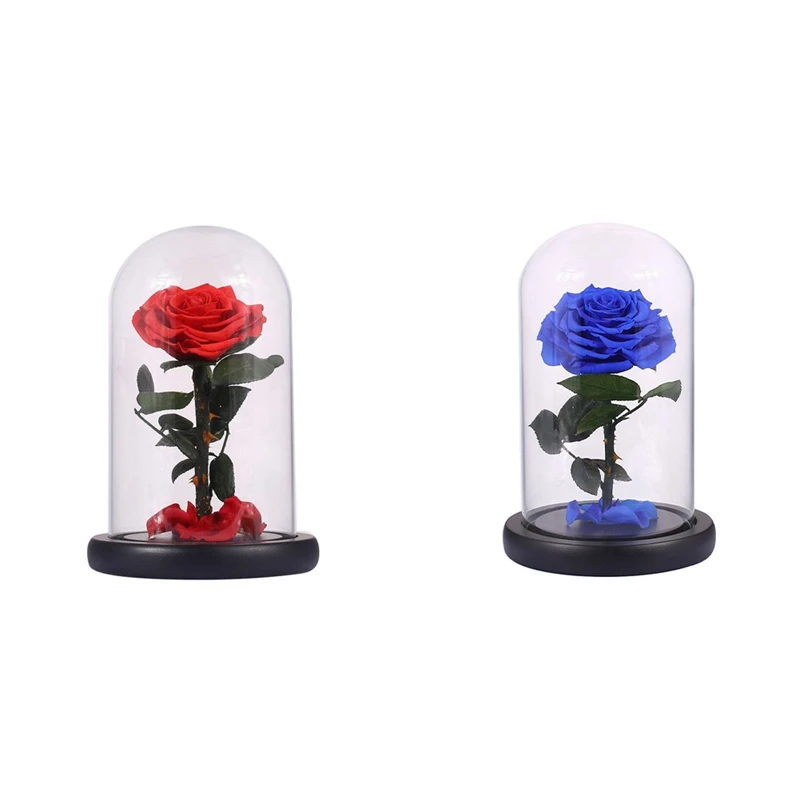 

2Pcs Glass Cover Fresh Preserved Rose Flower Barbed Rose Flores For Wedding Marriage Home Decoration - Red & Blue