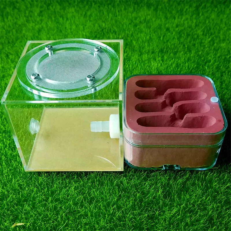 Штукатурка Муравьиное гнездо акриловая муравьиная ферма муравьев королева дом