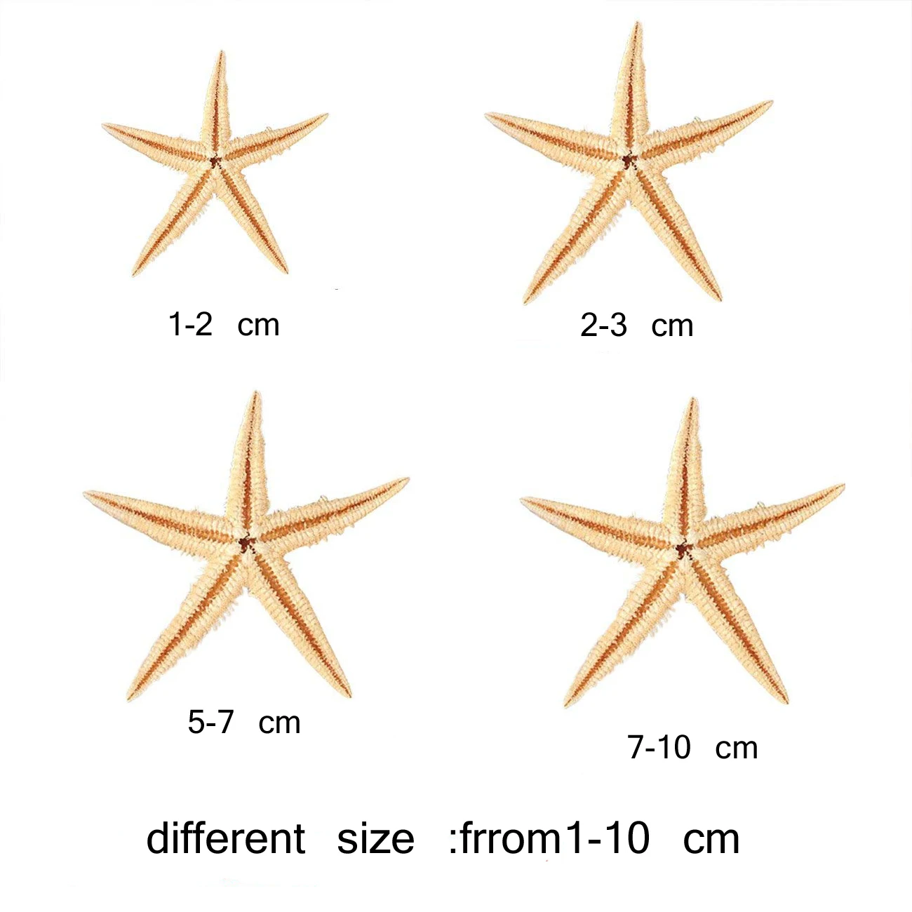 10 шт. натуральные морские ракушки пляжные ремесла звезды Diy свадебное украшение