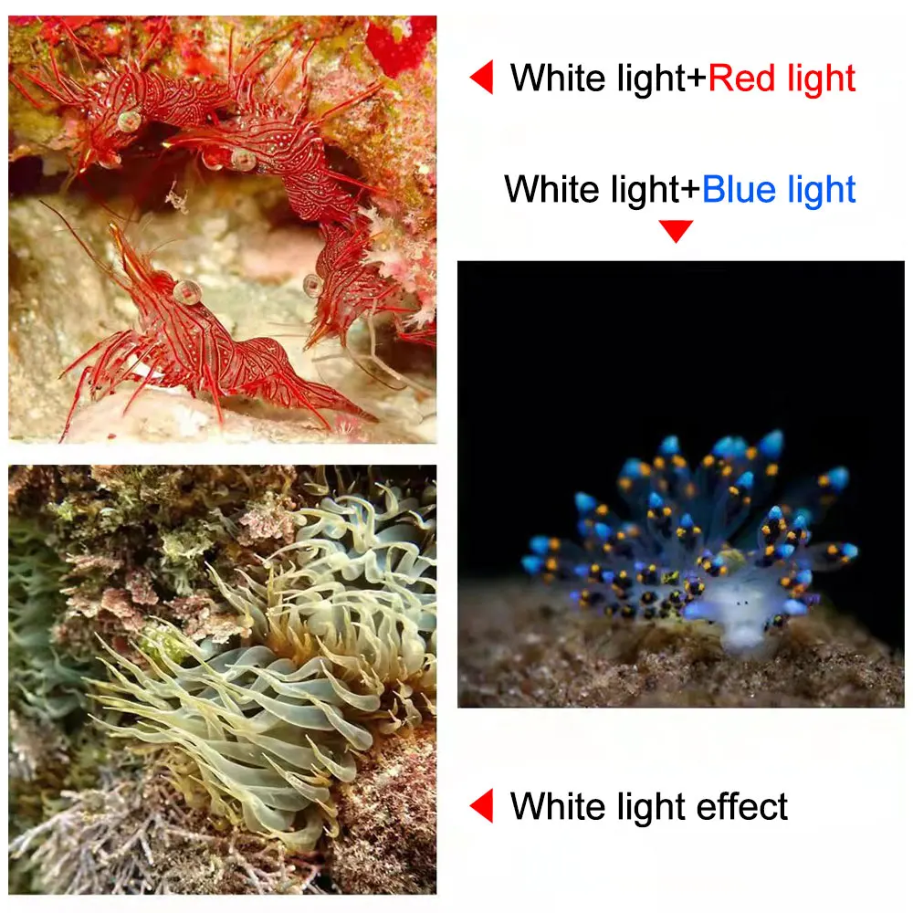 Купить Новинка 100 лм фонасветильник для дайвинга COB светодиодный IPX8 водонепроницаемый подводный м фонарь для дайвинга с белым/синим/красным бликом...