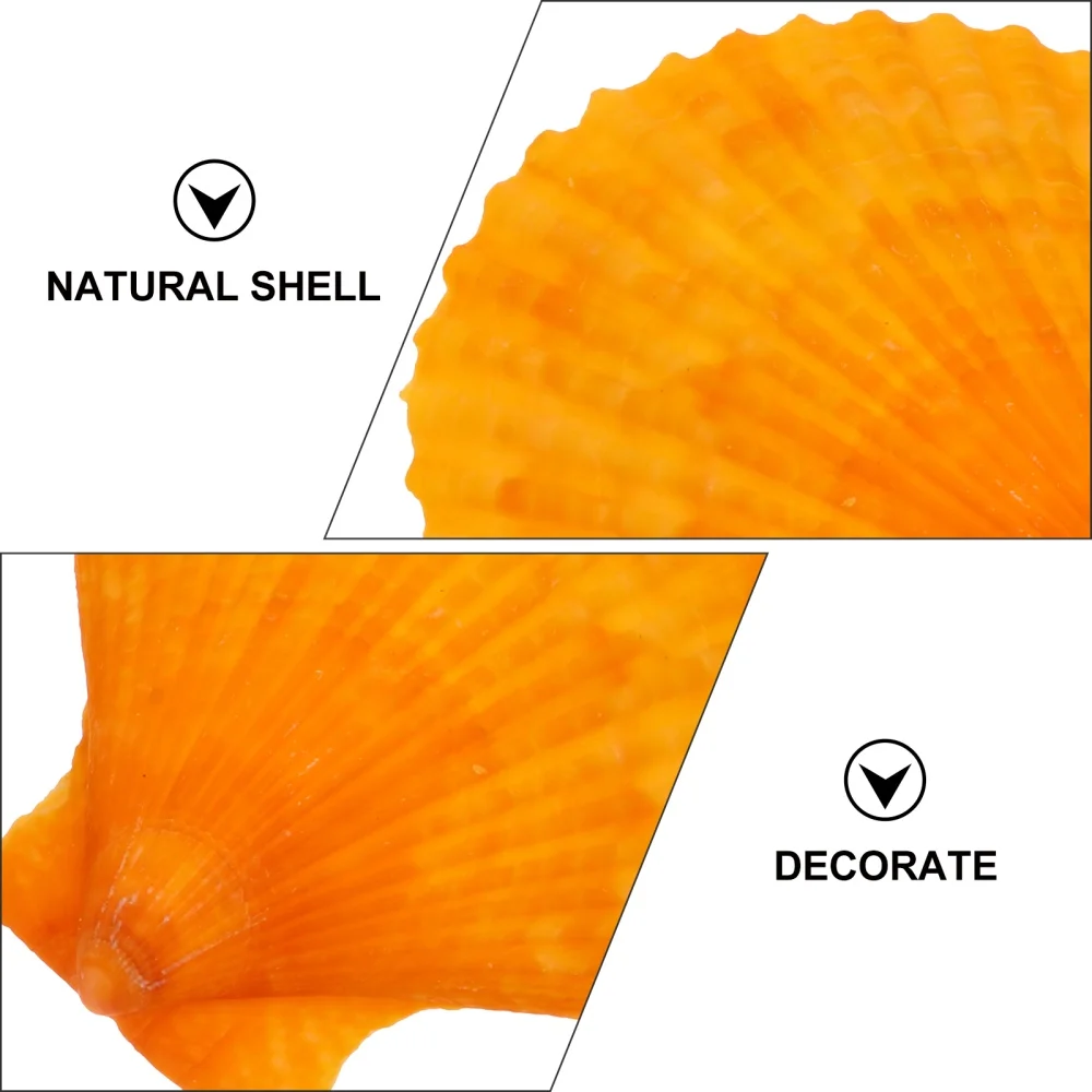 

100 Pcs Aquarium Shell Decor Fish Tank Decor Fish Tank Scallop Ornaments