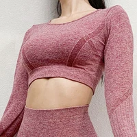 long sleeve gym yoga sports crop top womens seamless t shirt fitness woman sport tshirt workout tops for women sportswear