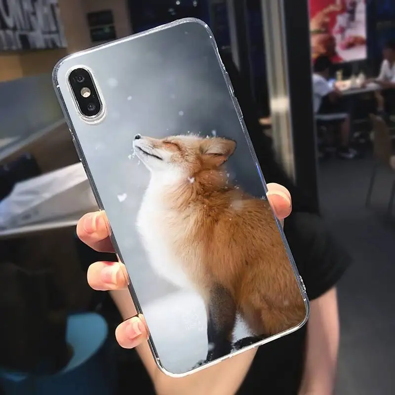 

Animal Raccoon Fox Phone Case Transparent for iPhone 6 7 8 11 12 s mini pro X XS XR MAX Plus