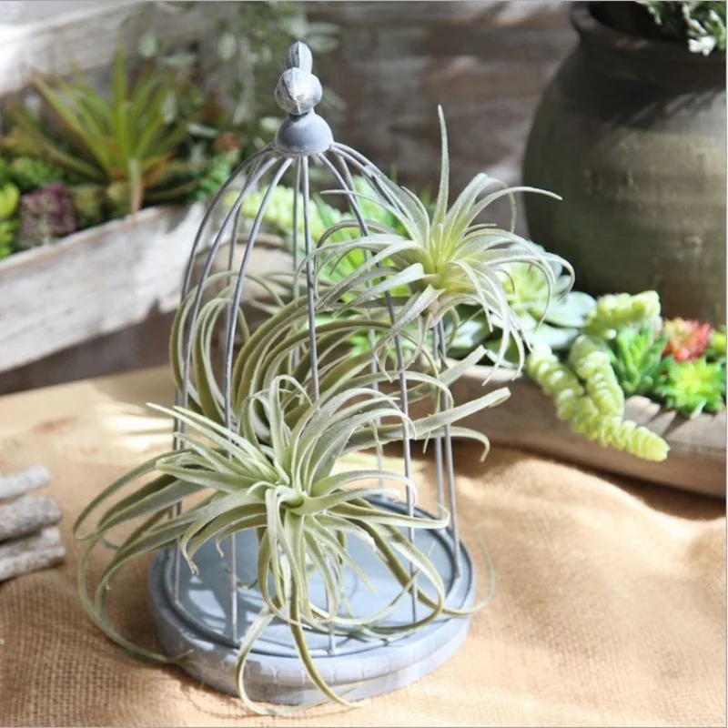 

Artificial Plants, 30cm Succulents Air Grass Green Aloe Vera, Artificial Plant Wall Flower Arrangement, DIYparty Home Decoration
